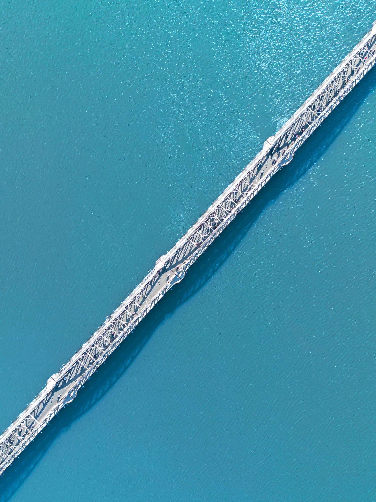 294425227 2637509786381976 9068105371053524062 n