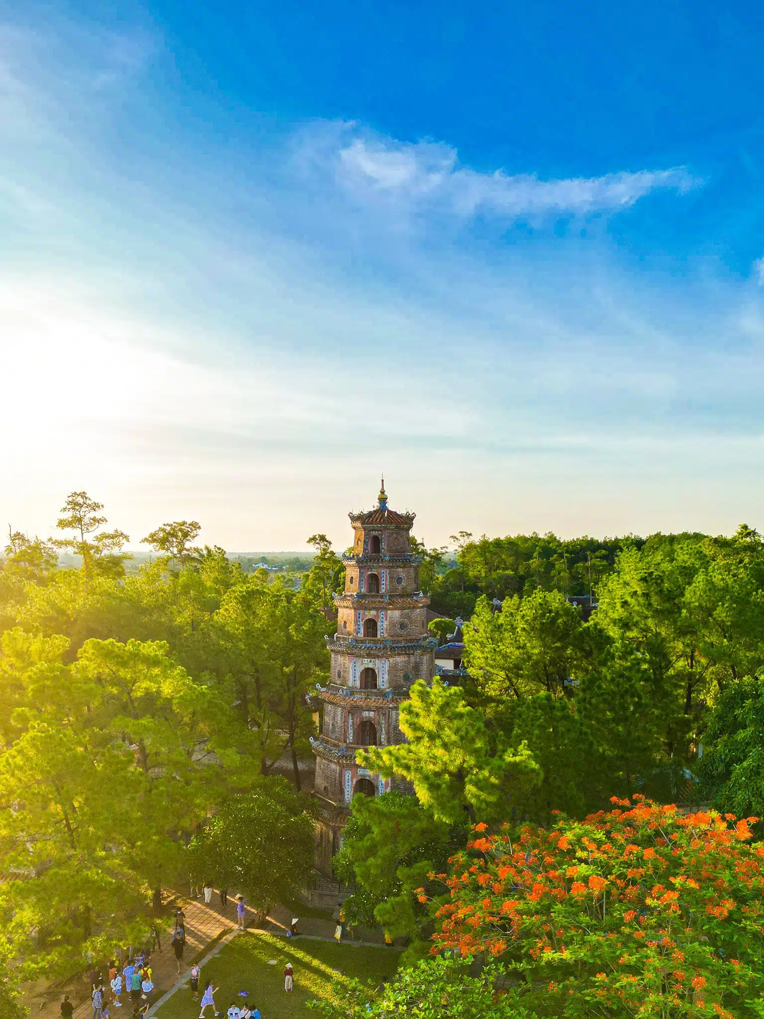 294430557 2636772129789075 6241235160238476068 n