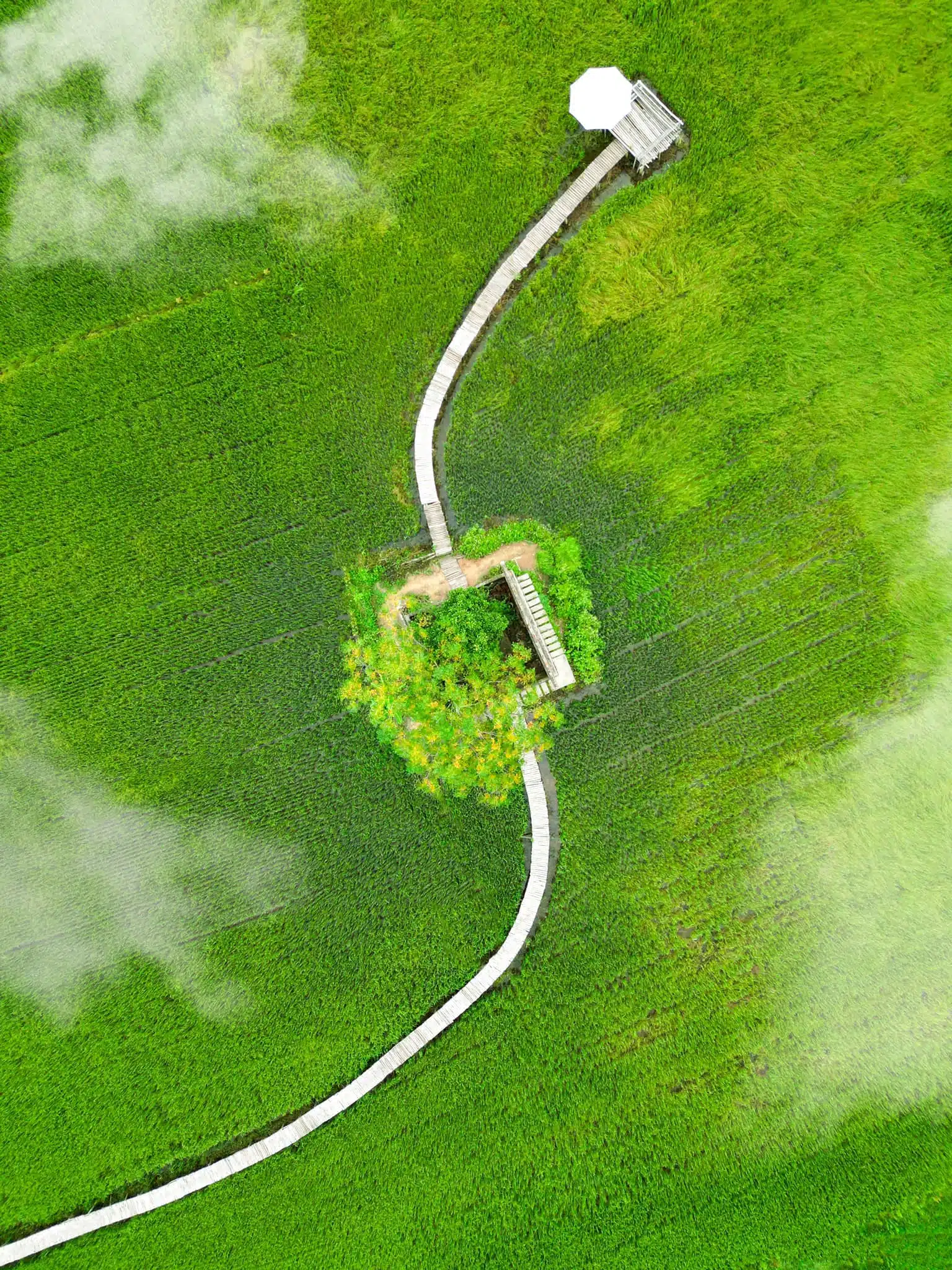 299536912 2664749656991322 4302725546686608119 n