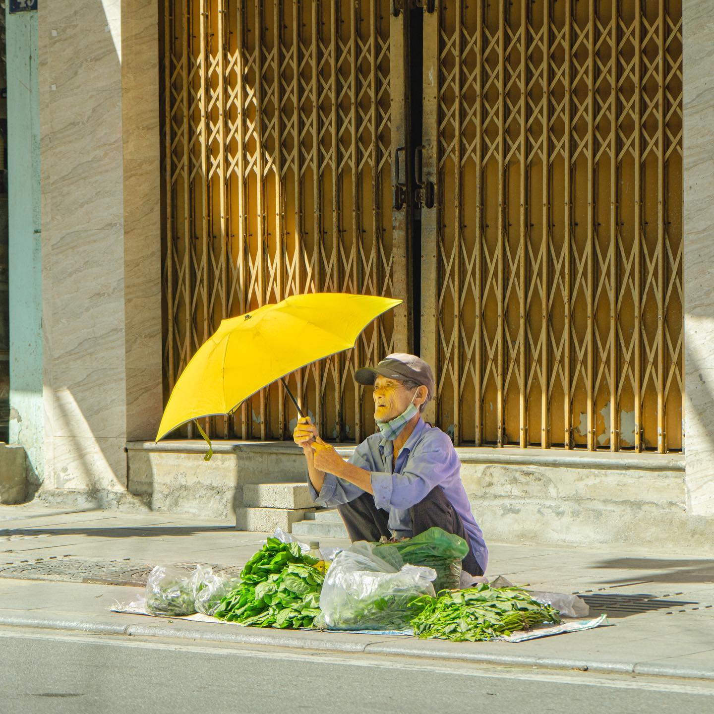 302705116 2672160556250232 2197623607287283370 n