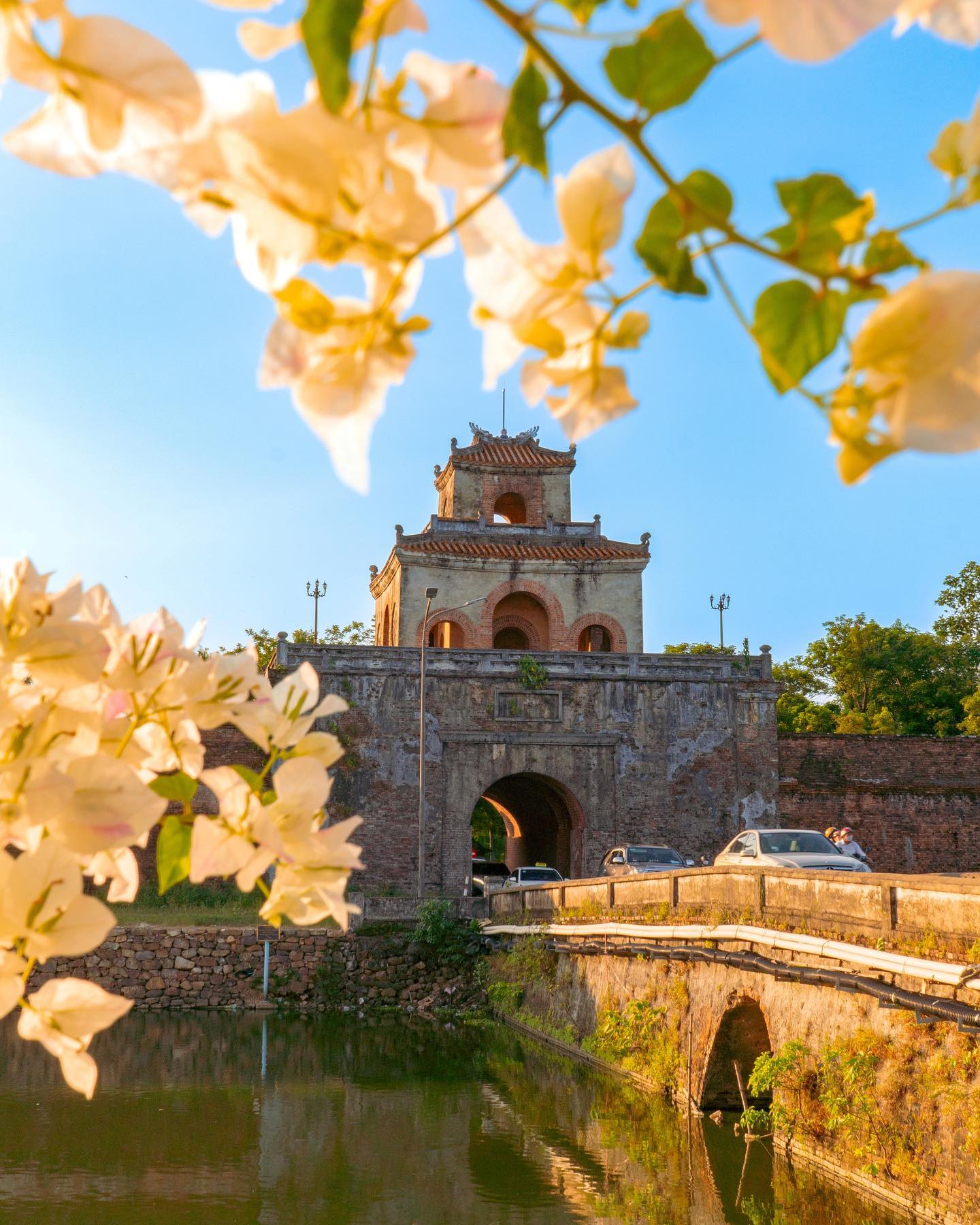 306171122 2679640868835534 4968548532623931259 n