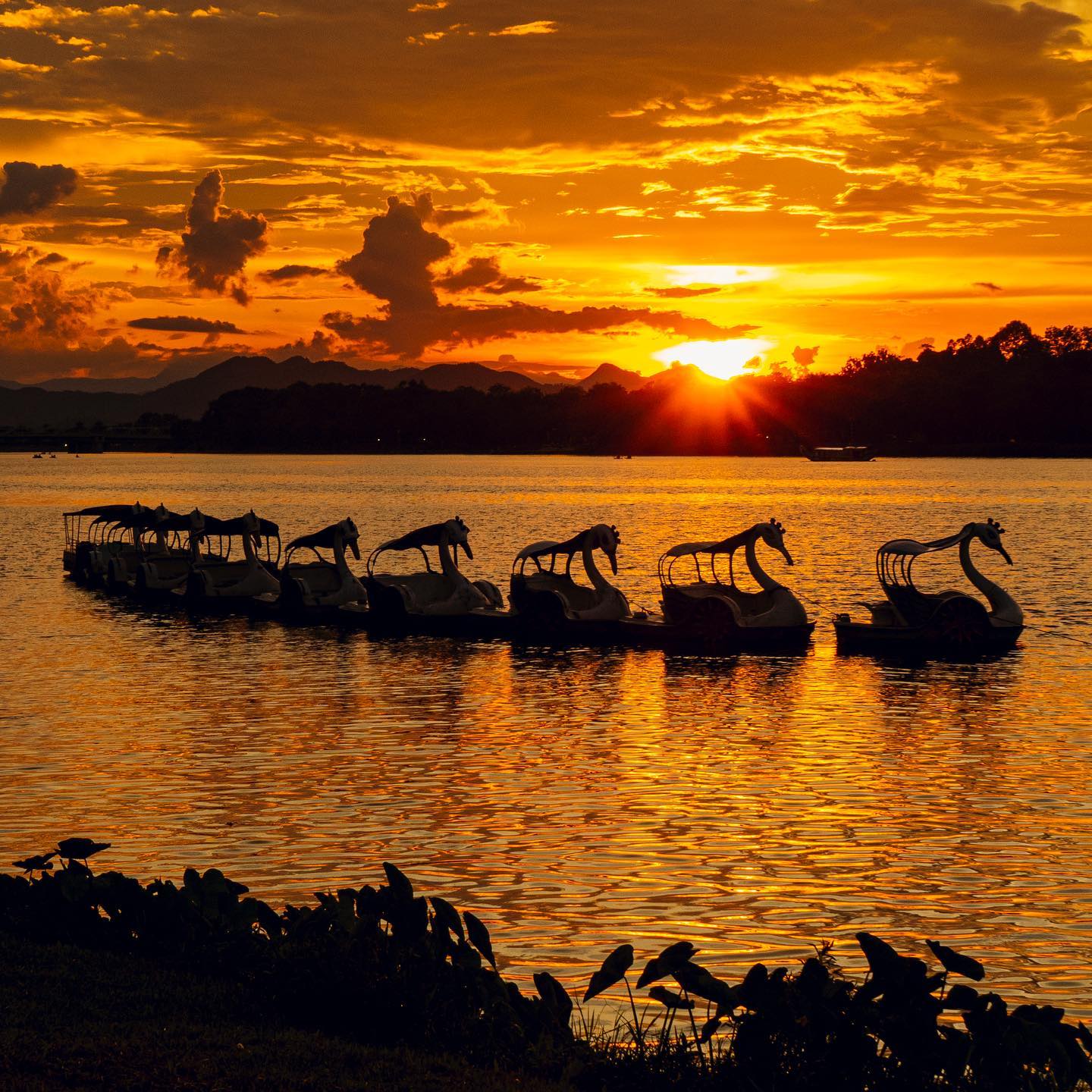 309793702 2698314386968182 8793163374439942722 n