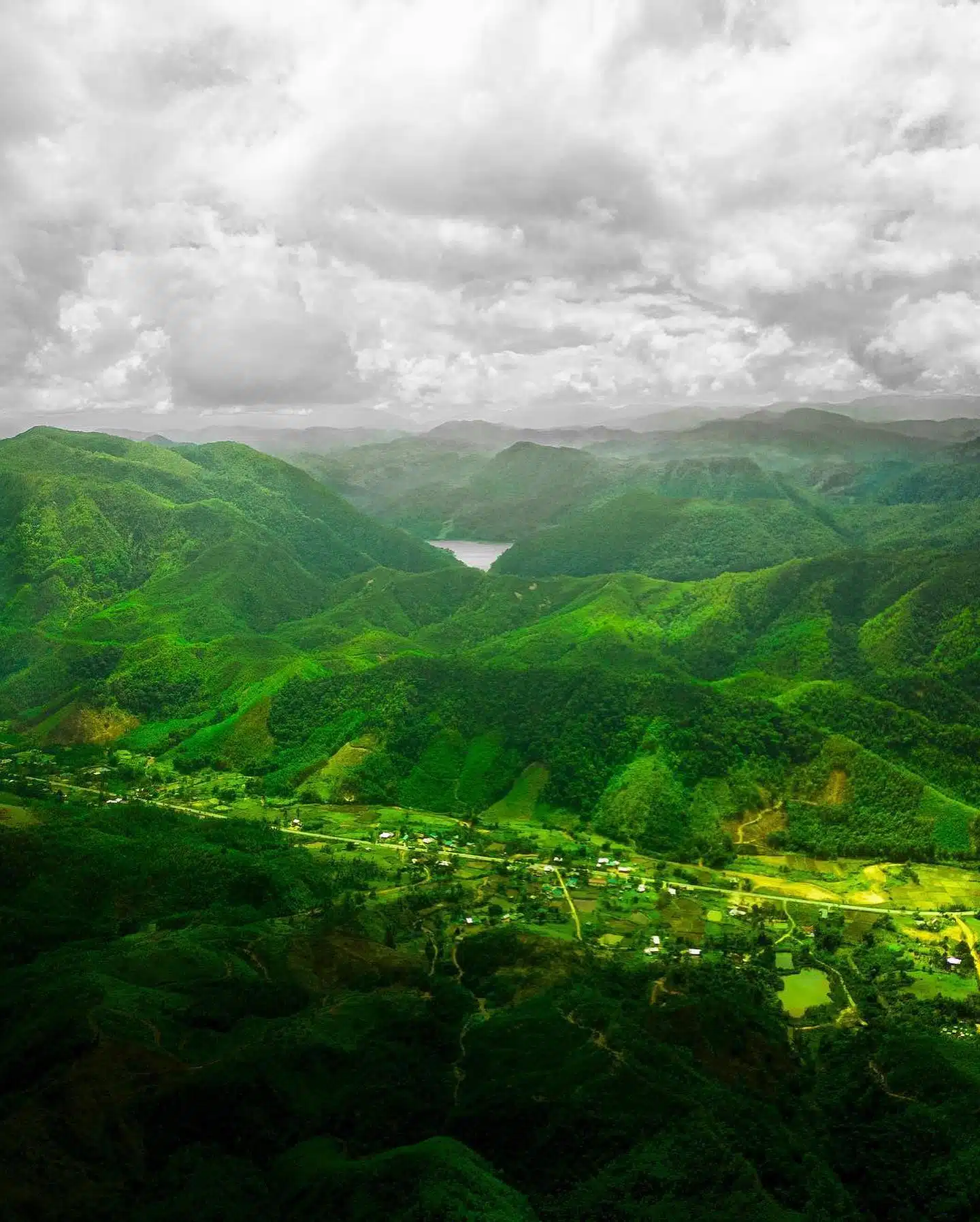 312645224 2721699247963029 2982709107047208817 n